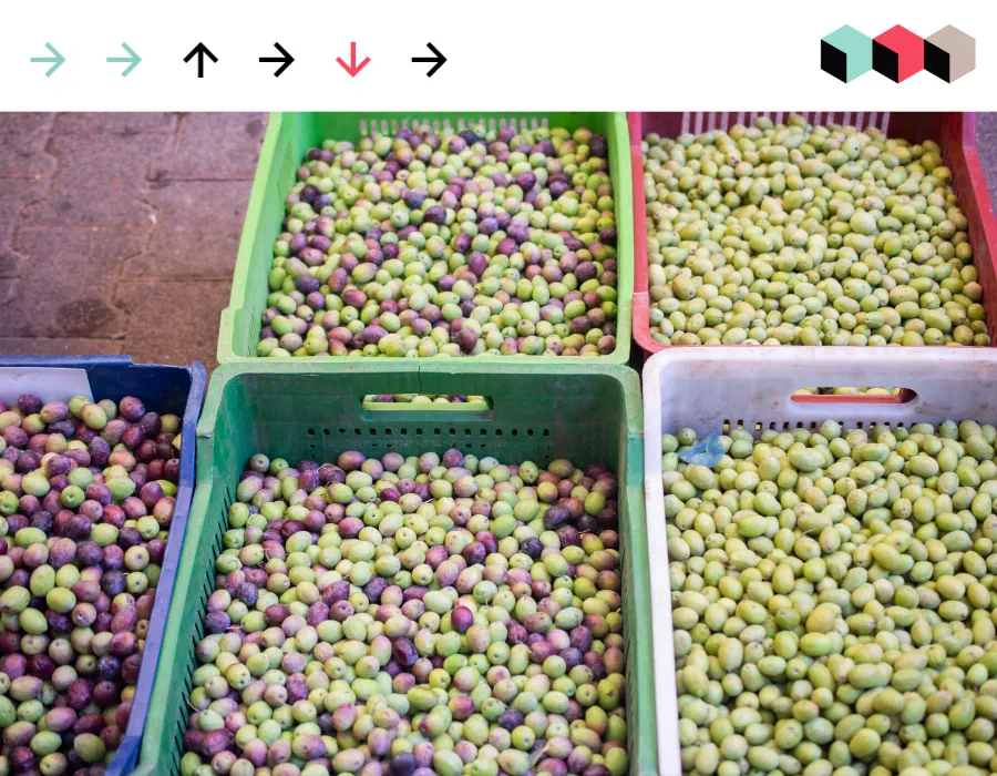 Перевезення вантажів з Іспанії уникаємо поширених проблем 2