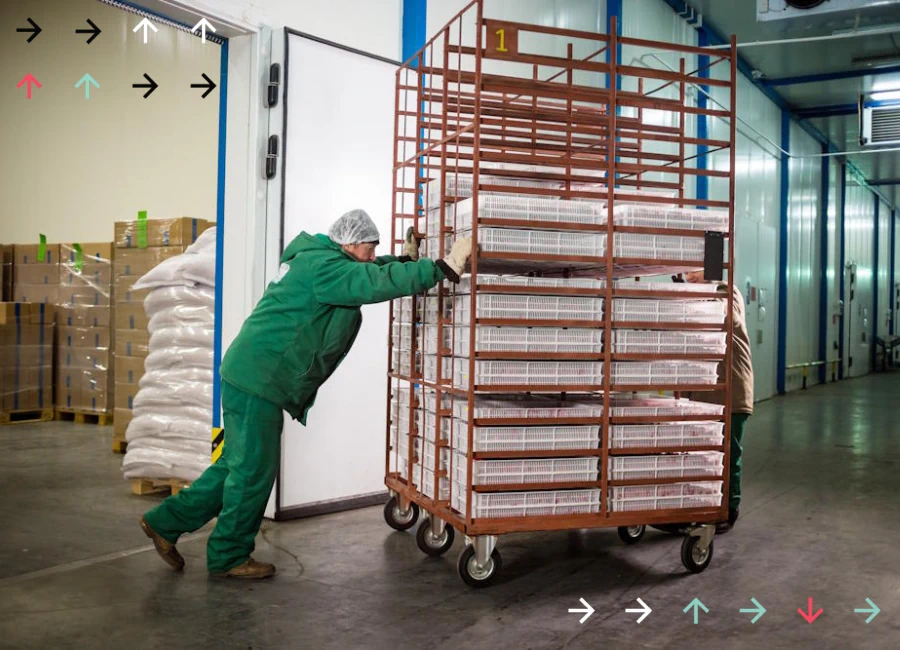 Transportation of Perishable Goods Over Long Distances 3