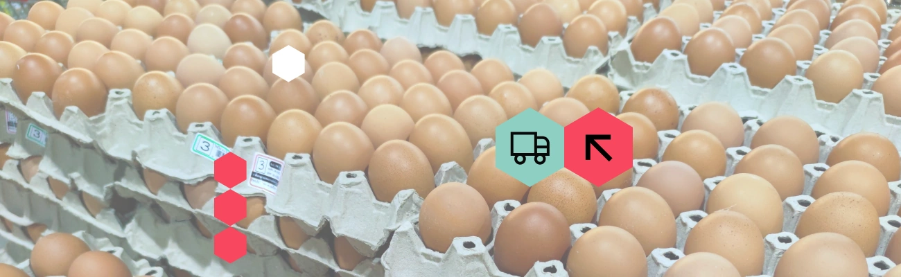 Transportation of Perishable Goods Over Long Distances